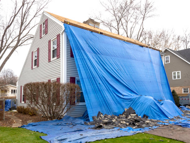 Property Management Cleanouts in Wellington, CO