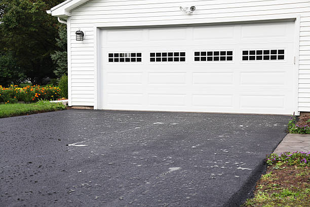 Best Carpet Removal and Disposal  in Wellington, CO